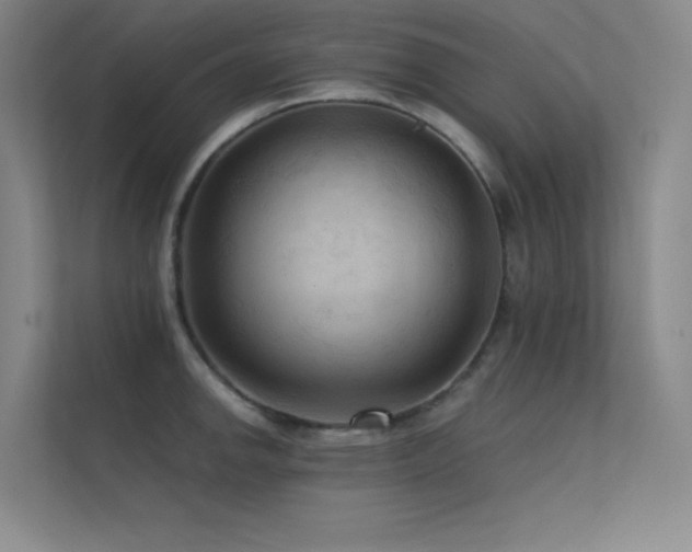 X0000112421142200908141406
