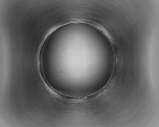 X0000112421143200908141406
