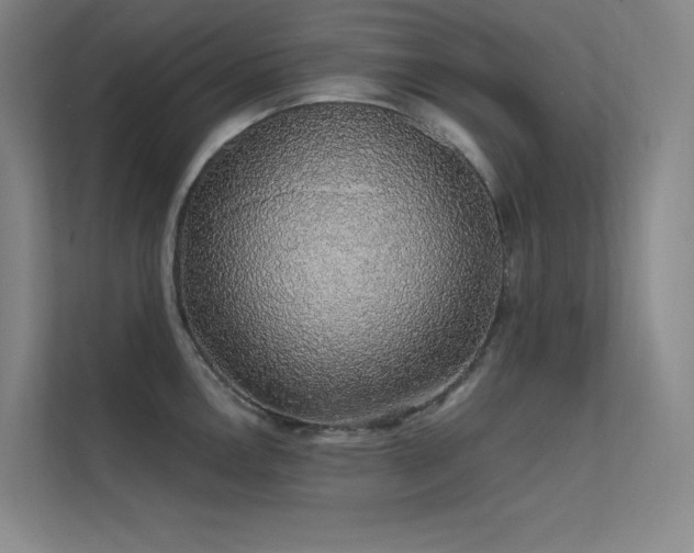 X0000112421146200908141406