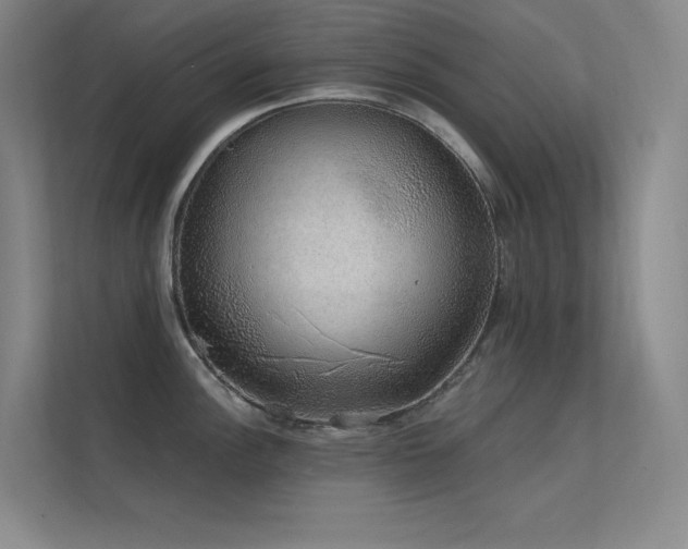 X0000112421148200908141406
