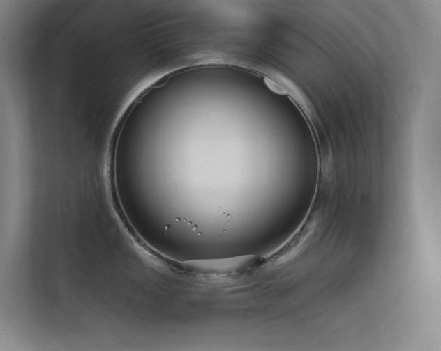 X0000112421149200908141406