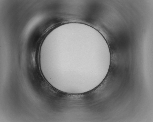X0000112421150200908141406