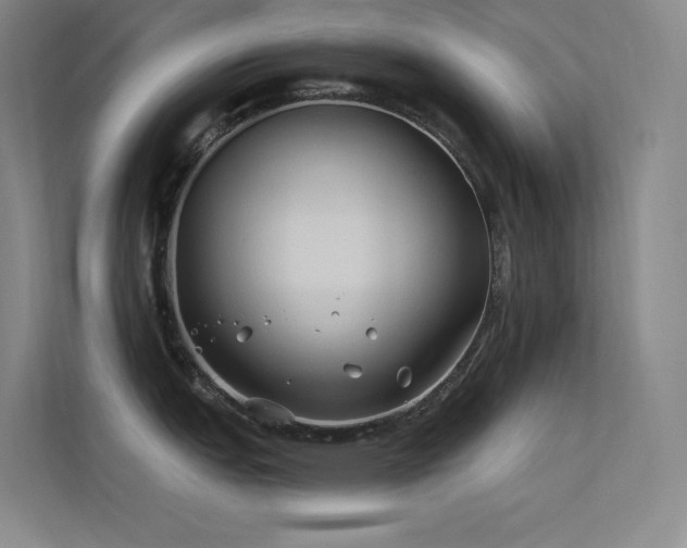 X0000112421151200908141406