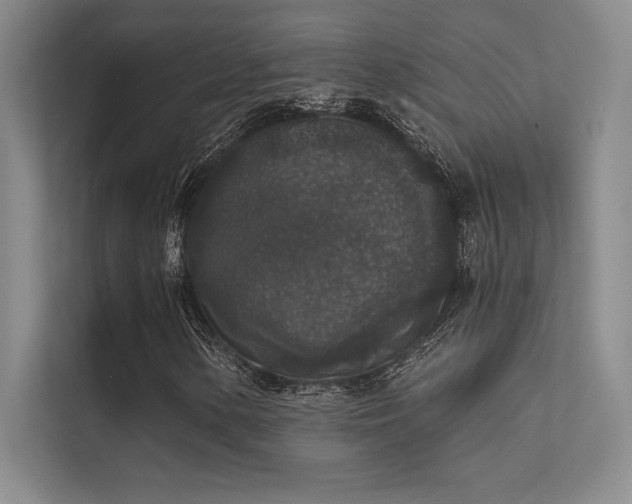 X0000112421154200908141405