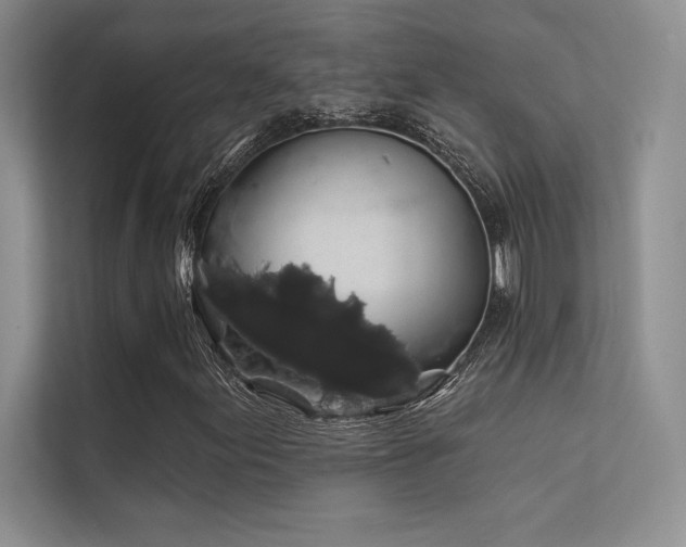 X0000112421155200908141405
