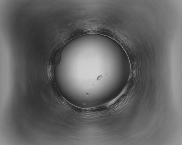 X0000112421156200908141405