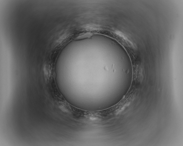 X0000112421157200908141405