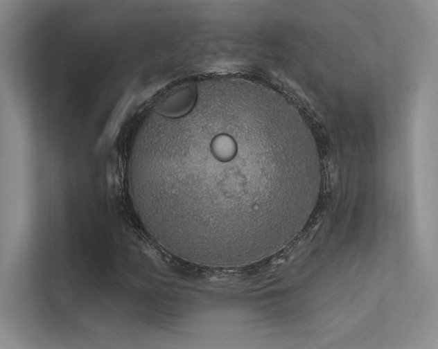 X0000112421158200908141405