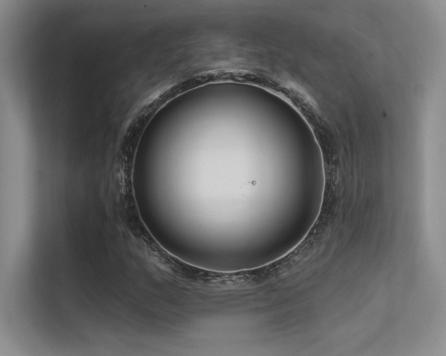 X0000112421159200908141405