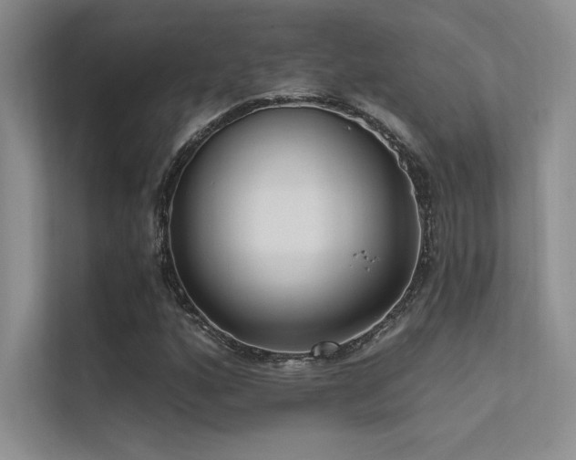 X0000112421160200908141405