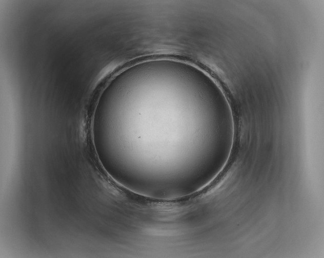 X0000112421163200908141405