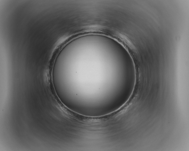 X0000112421164200908141405