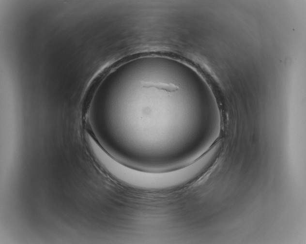 X0000112421165200908141405