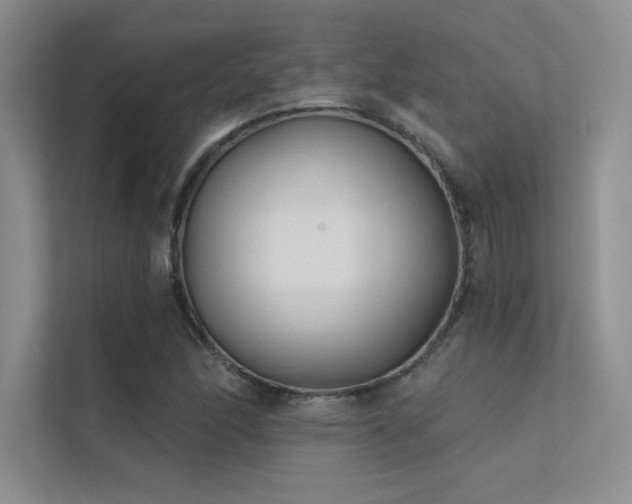 X0000112421166200908141405
