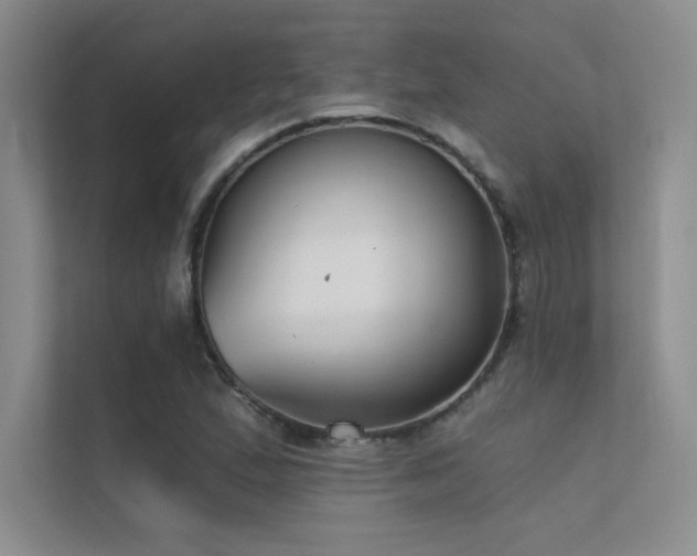 X0000112421167200908141405
