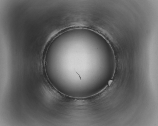X0000112421168200908141405