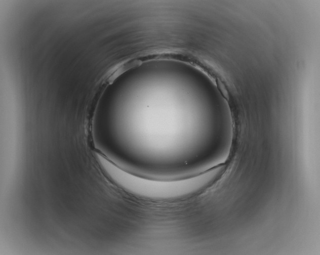 X0000112421169200908141405