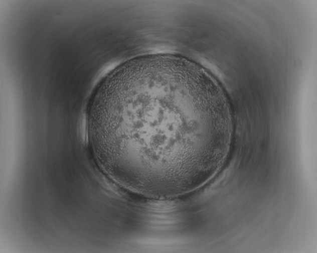 X0000112421171200908141405