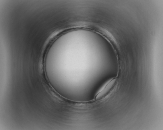 X0000112421172200908141405
