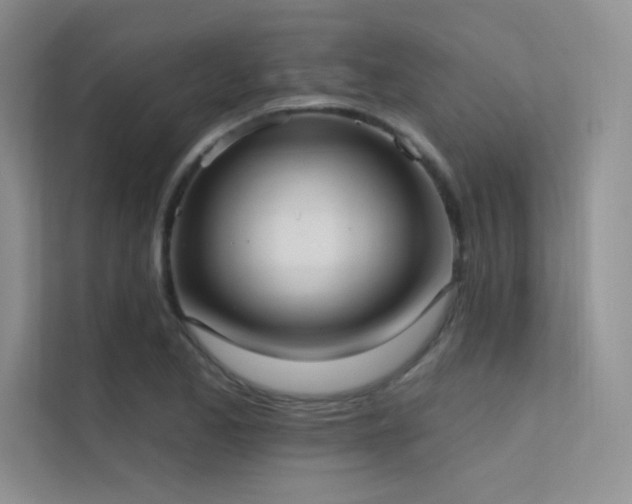 X0000112421173200908141405