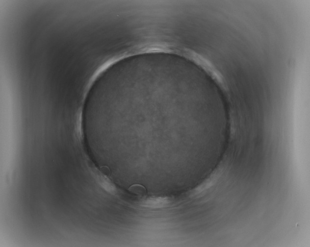 X0000112421174200908141405