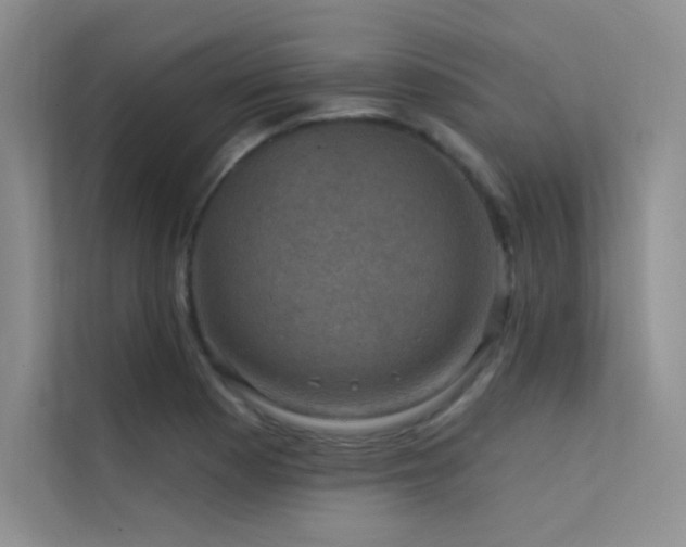 X0000112421177200908141405