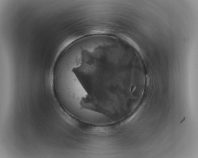 X0000112421179200908141405