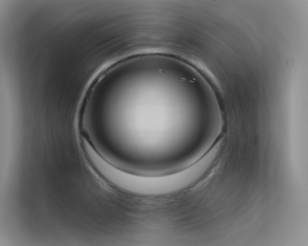 X0000112421181200908141405