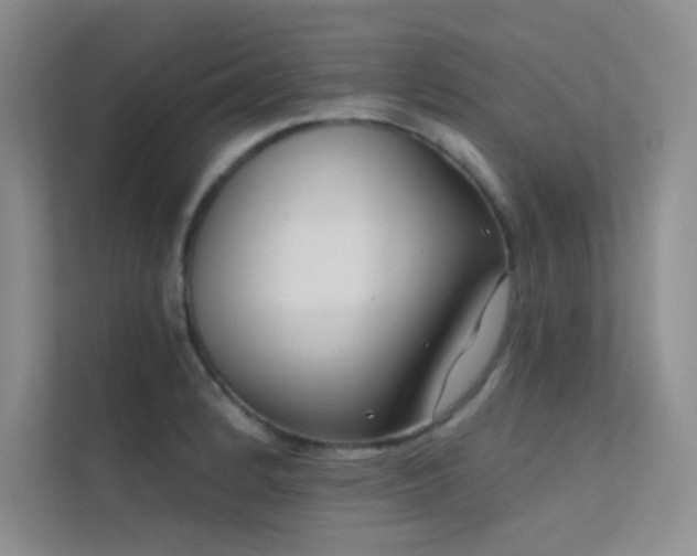 X0000112421184200908141405