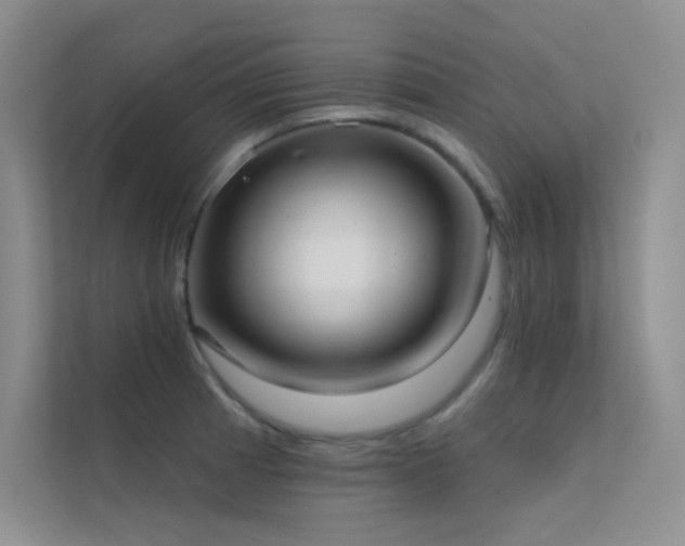 X0000112421185200908141405