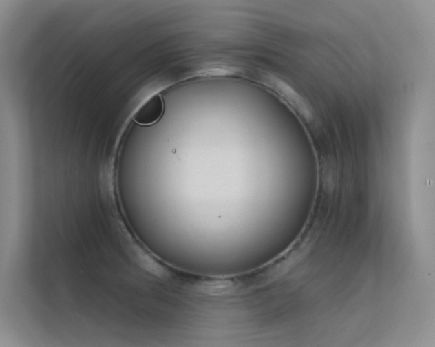 X0000112421186200908141405