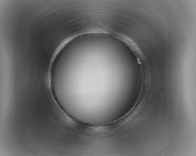 X0000112421188200908141405