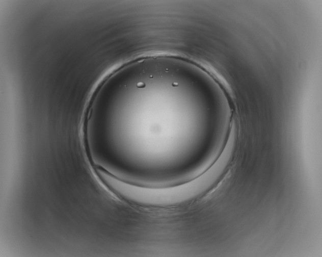 X0000112421189200908141405
