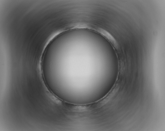 X0000112421190200908141405