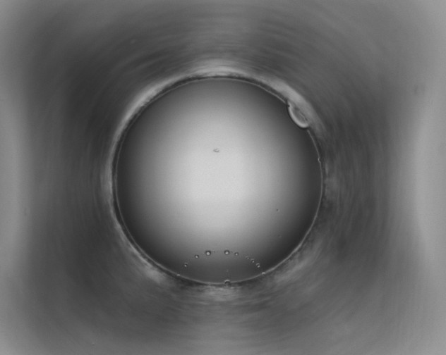 X0000112421191200908141405