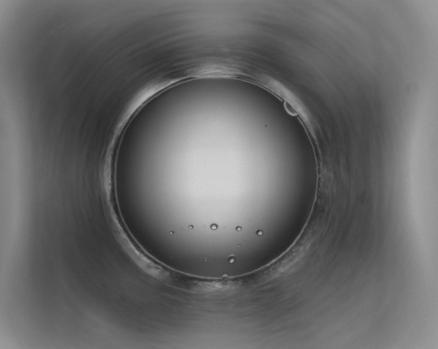 X0000112421195200908141404