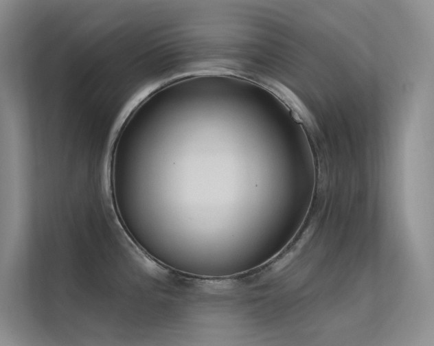 X0000112421196200908141404