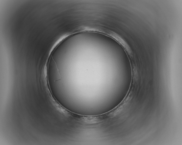X0000112421198200908141404