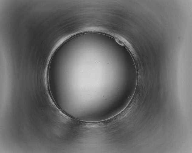 X0000112421199200908141404