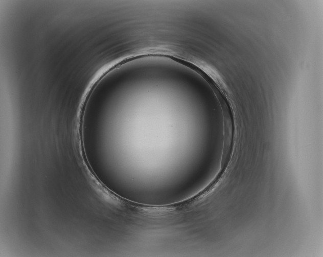 X0000112421200200908141404