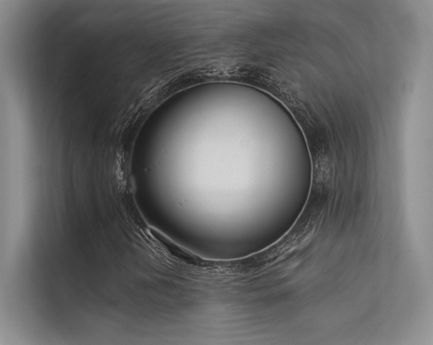 X0000112421202200908141404
