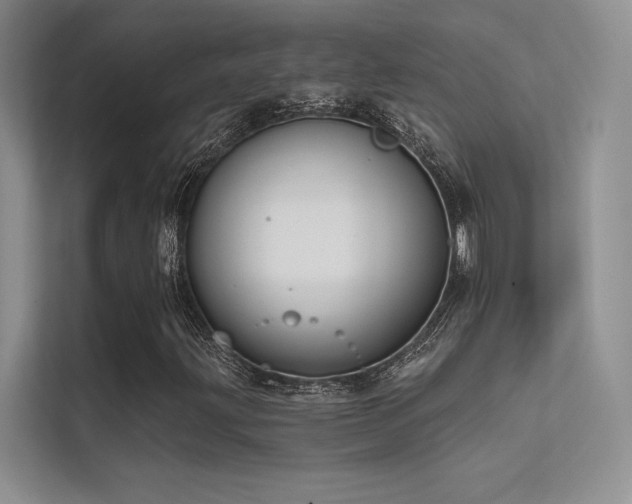 X0000112421203200908141404