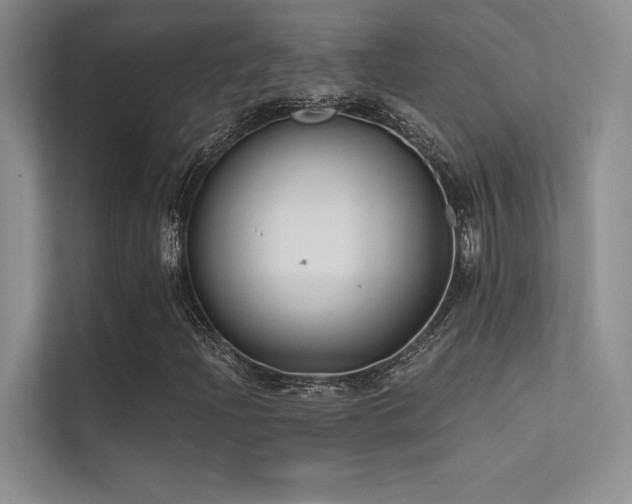 X0000112421204200908141404