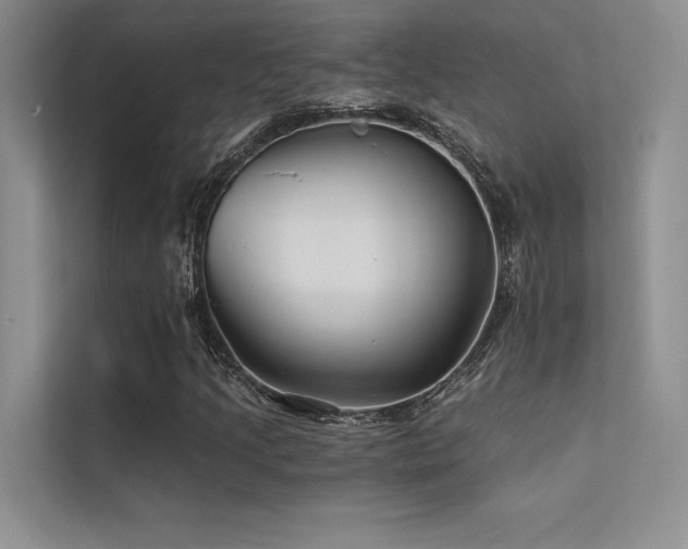 X0000112421205200908141404