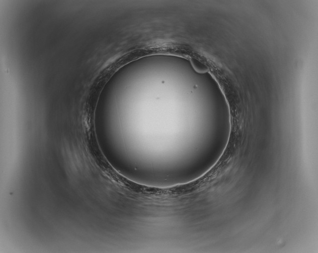 X0000112421206200908141404