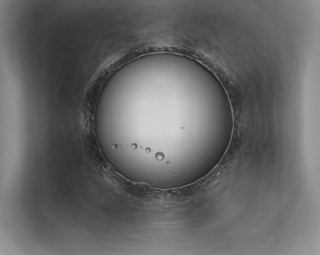 X0000112421207200908141404