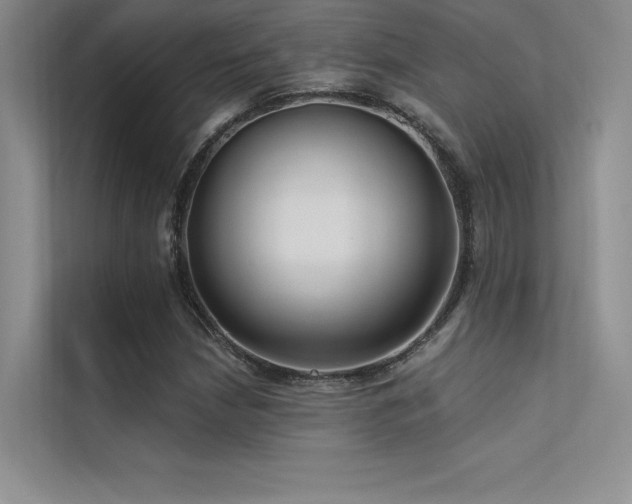 X0000112421210200908141404