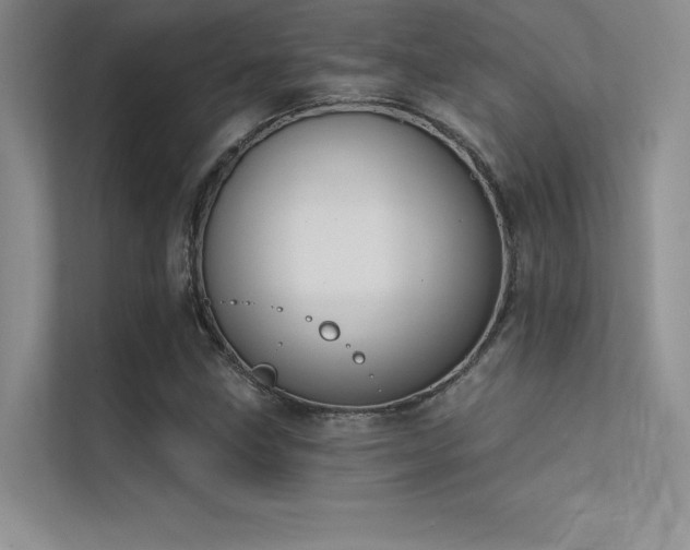 X0000112421211200908141404
