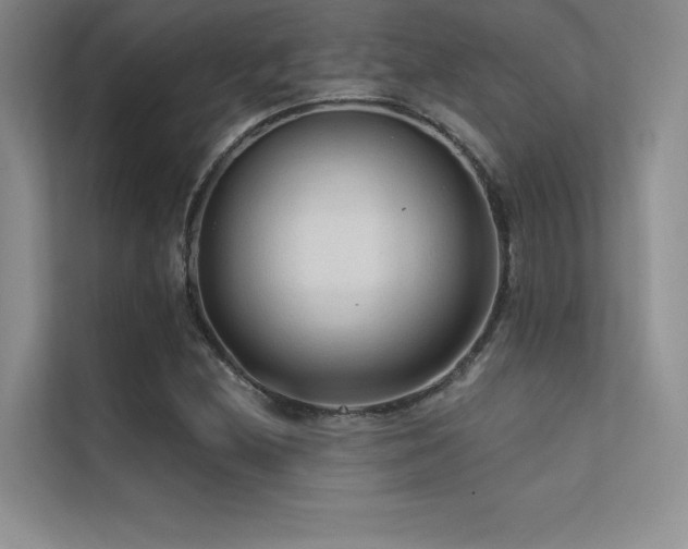 X0000112421212200908141404
