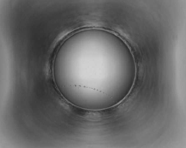X0000112421215200908141404
